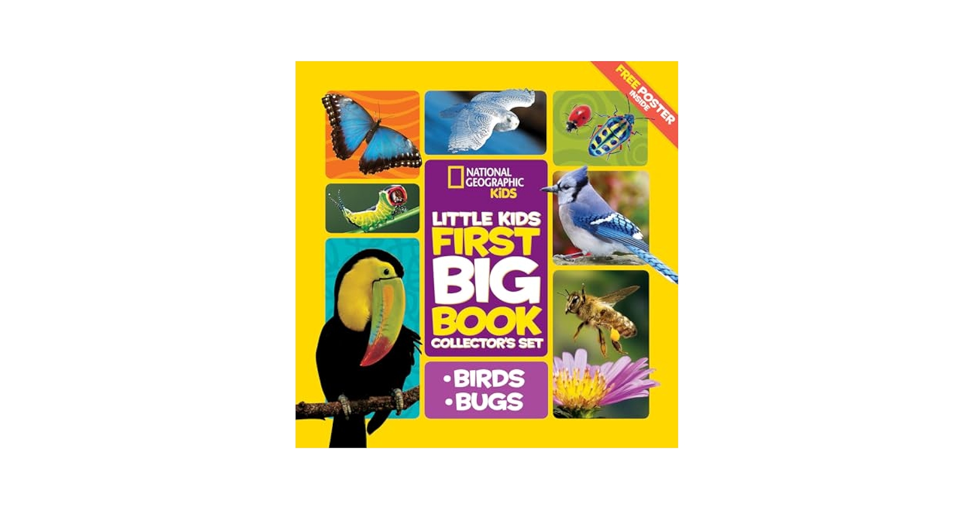 Little Kids First Big Book シリーズ4冊セット National Geographic Little Kids First Big Book Collector's